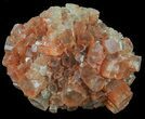 Aragonite Twinned Crystal Cluster - Morocco #59797-1
